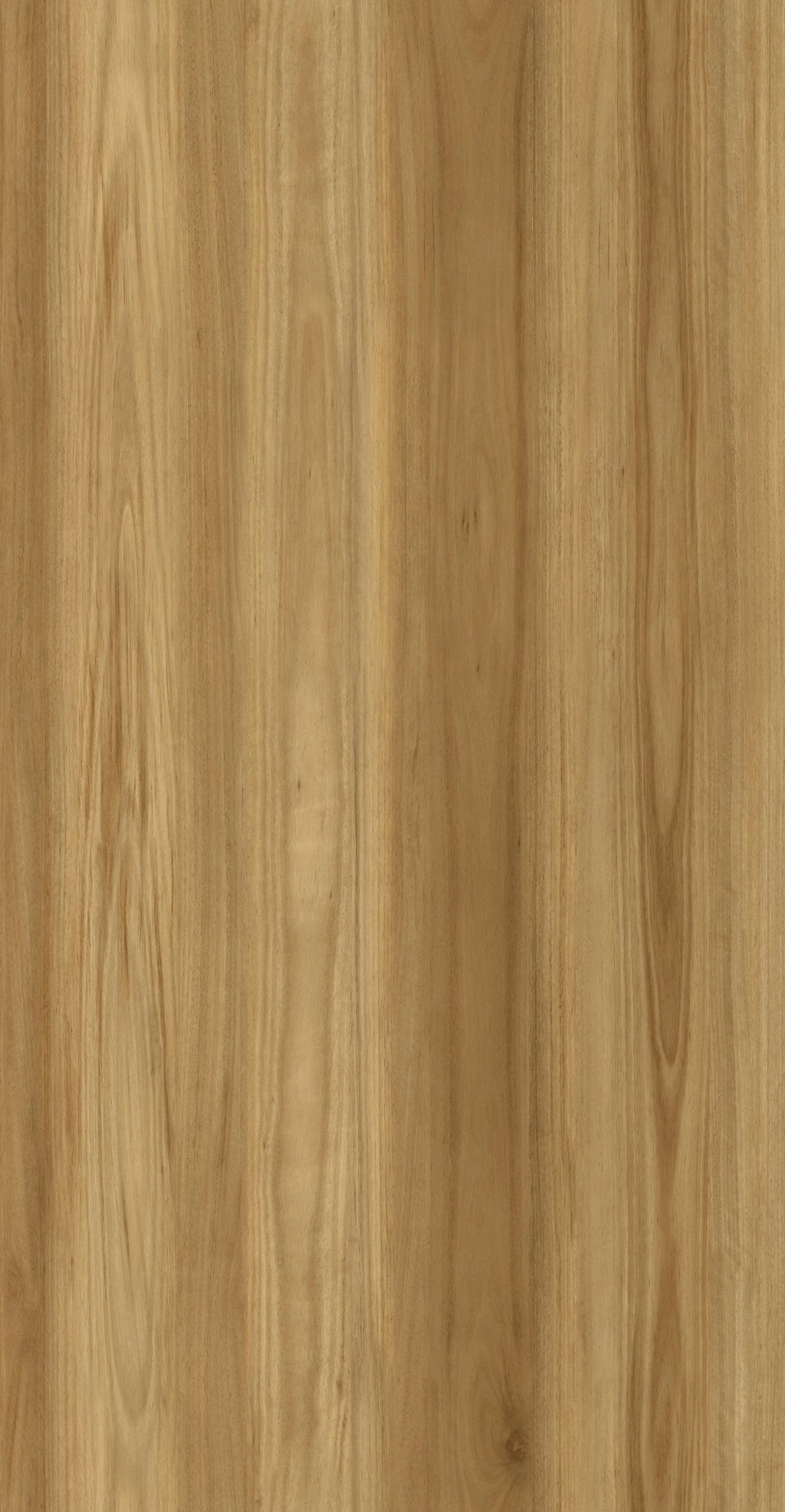 Blackbutt luxury vinyl plank flooring 4.5mm
