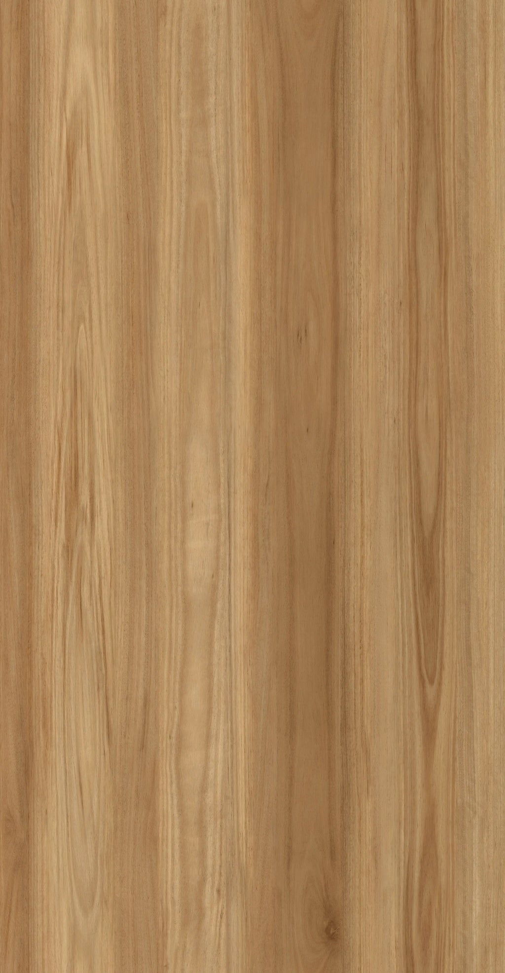 Coastal Blackbutt luxury vinyl plank flooring 2.5mm
