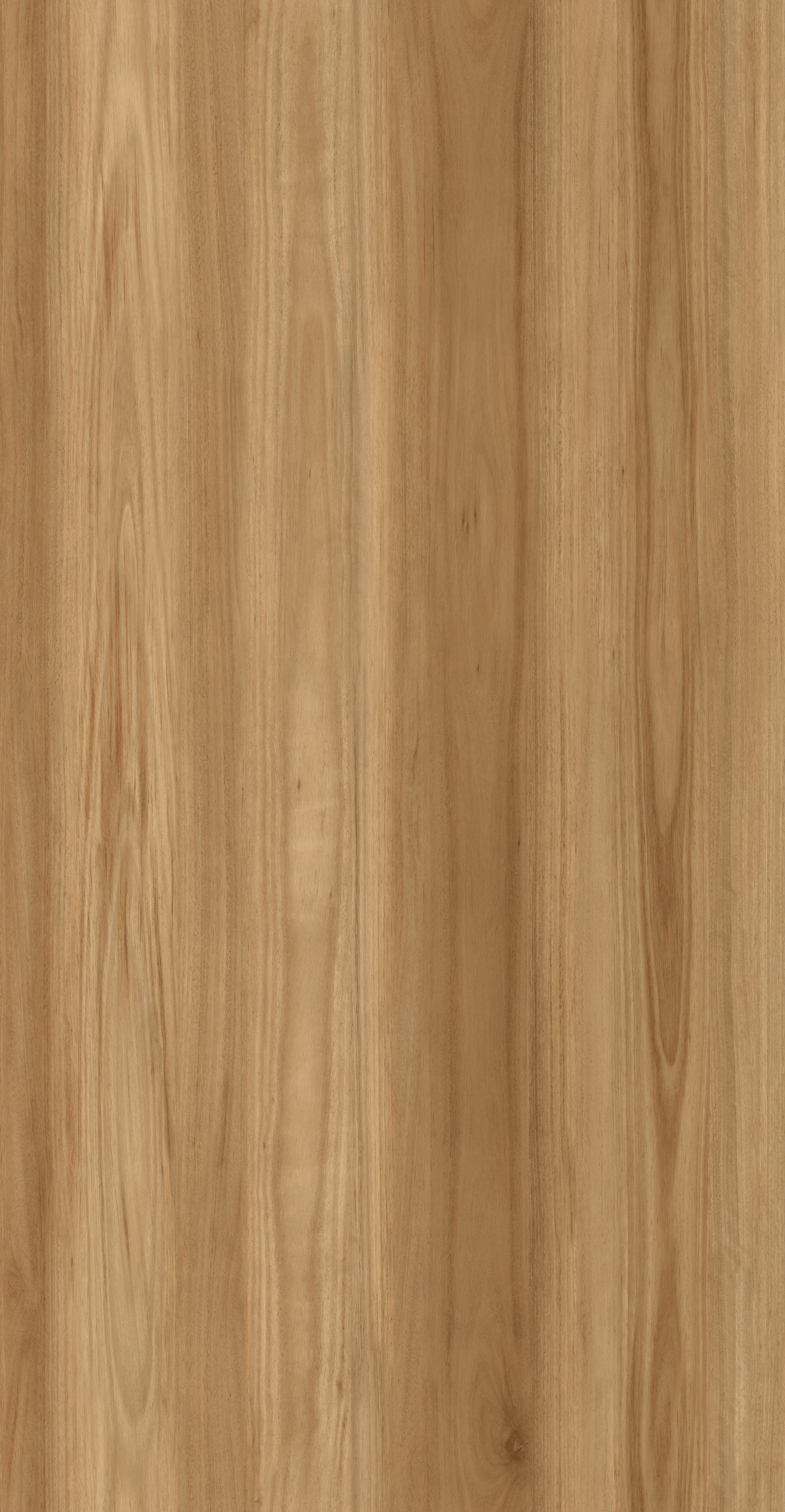 Coastal Blackbutt luxury vinyl plank flooring 2.5mm