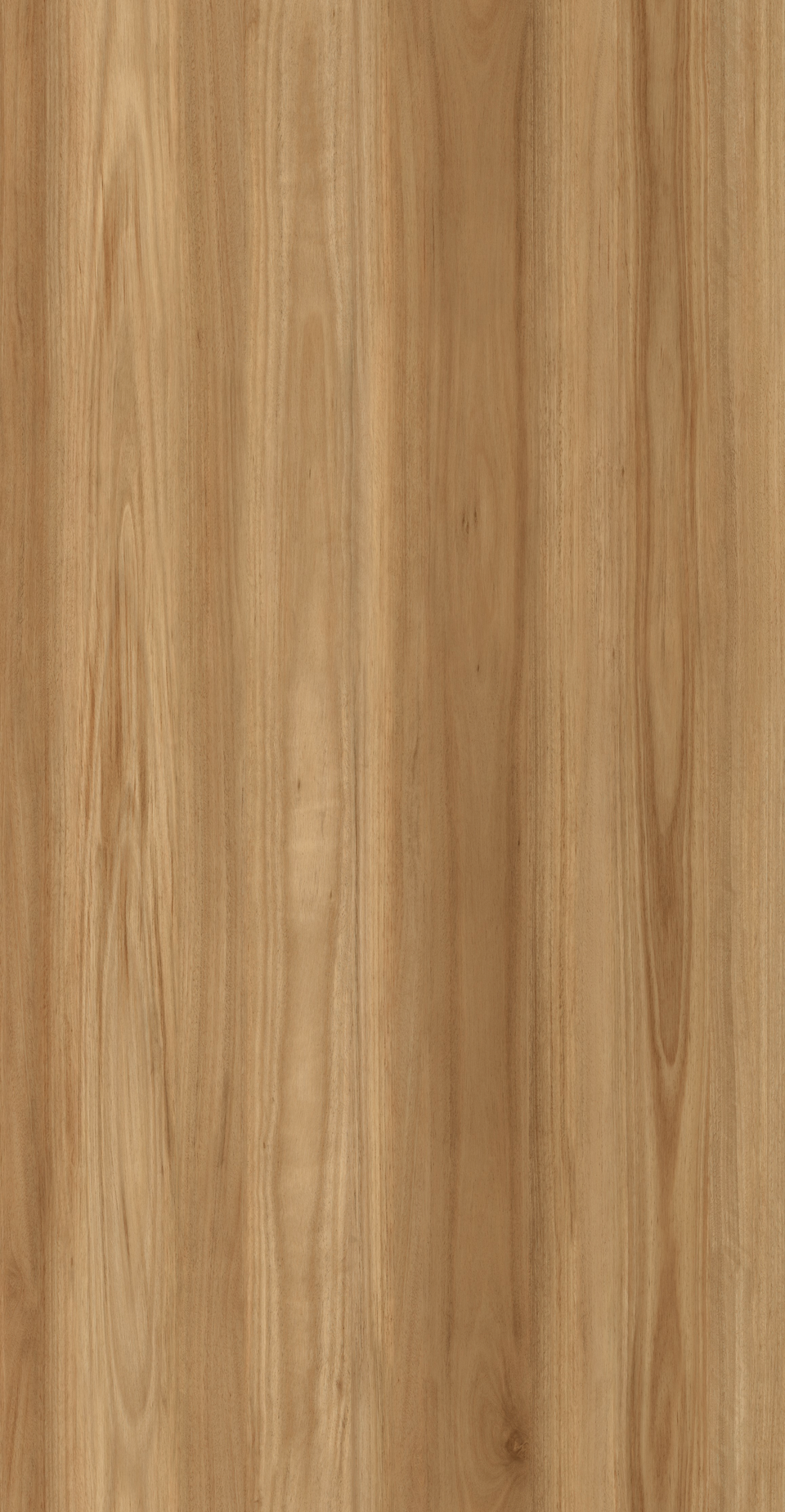 Coastal Blackbutt Luxury Vinyl Plank Flooring 2.5mm
