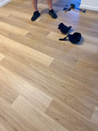 Coastal Blackbutt SPC Hybrid Floorboards 5+1.5mm