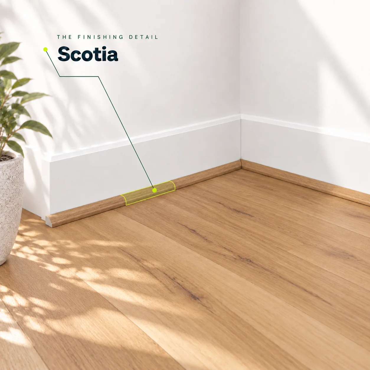 Coastal Blackbutt scotia highlighted where matching flooring meets white skirting boards