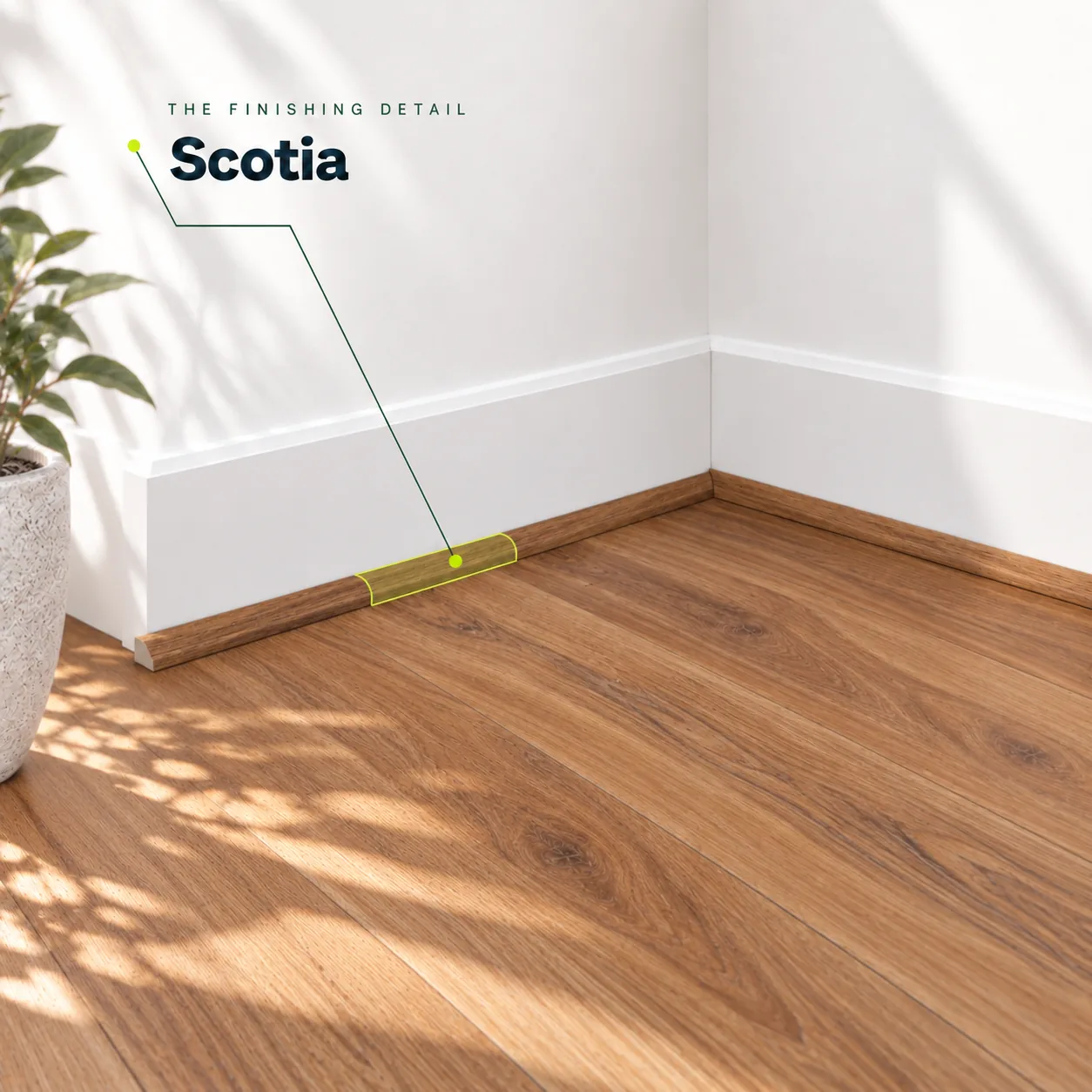 NSW Spotted Gum scotia highlighted where matching flooring meets white skirting boards
